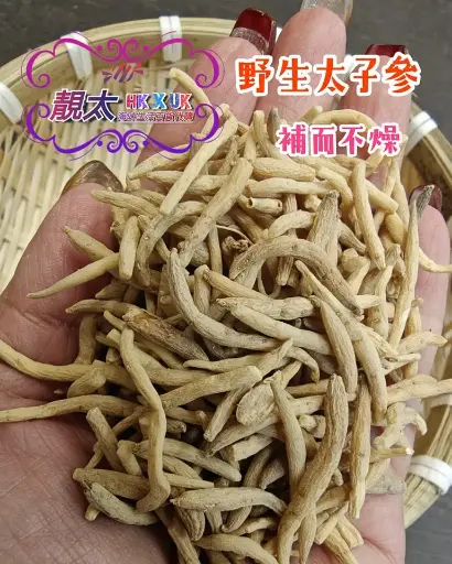 太子参