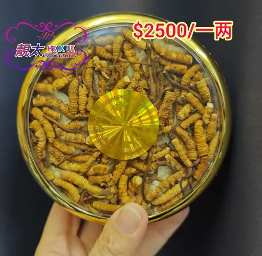 斷支蟲草