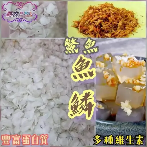 鰵魚魚鱗