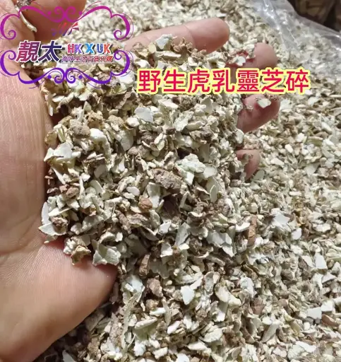 野生虎乳靈芝碎