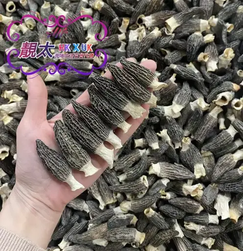 羊肚菌