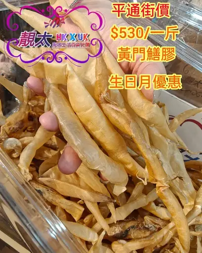 黃門鱔膠