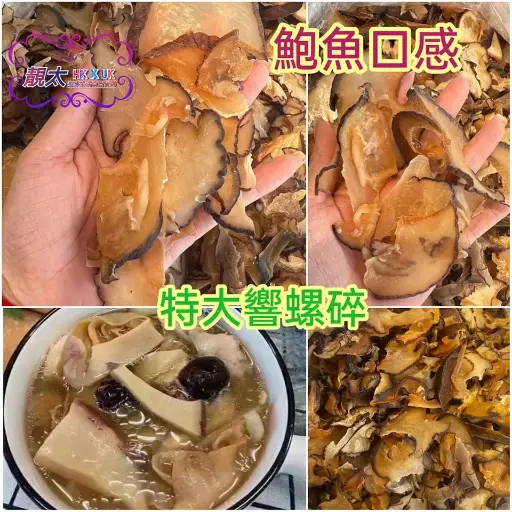 特大響螺碎
