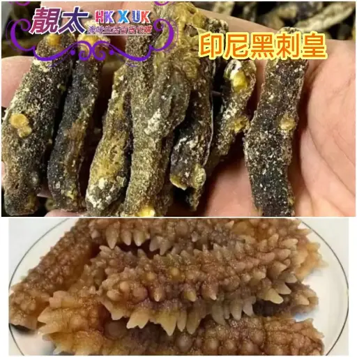 90頭野生黑剌參參王