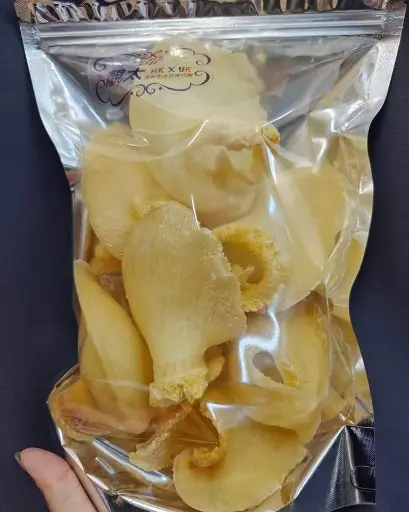 大鮑翅